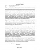 Informe sobre el Programa Municipal de Educación, Cultura y Ciudadanía Ambiental de la Provincia de San Román-Juliaca