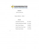 Tecnicas de Entrevista Trabajo colaborativo - Informe