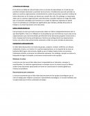 Prácticas de Liderazgo