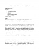 INFORME DE LABORATORIO MANEJO DE PUERTOS EN ARDUINO