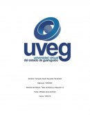 Altibajos de la escritura. La búsqueda sin fin