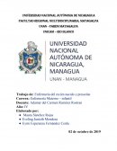 Trabajo de: Enfermería del recién nacido y prescolar Sistema nervioso
