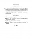 Envestigacion de Mercadeo