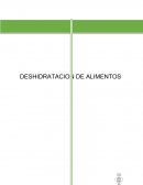 Deshidratacion de alimentos