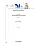 Taller de Estrategias Internacionales de Marketing Mattel