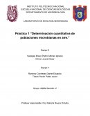 Determinación cuantitativa de poblaciones microbianas en aire