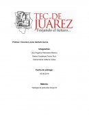 Tipología de productos Grupo M