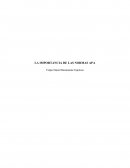 Netamente la Importancia de las normas APA