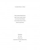 Conectando Historias: La Ruana