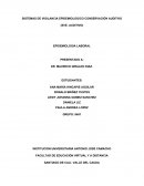 SVE CONSERVACIÓN AUDITIVO RUIDO