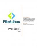 Evidencia d Cadena de Suministro