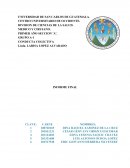Protocolo de Investigacion: causas que generan sinusitis en adultos de 30 a 40 años