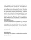 Aplicacion de un plan de negocios