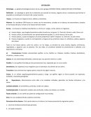Sistema oseo