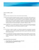 ¿Qué es un GDSS y un SIE?