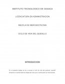 MEZCLA DE MERCADOTECNIA CICLO DE VIDA DEL QUESILLO