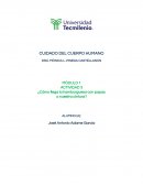 CUIDADO DEL CUERPO HUMANO ¿Cómo llega la hamburguesa con papas a nuestra cintura?