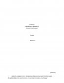 Laboratorio de Biología IV Reporte Experimental Lactasa Práctica 4