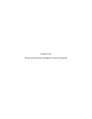 Técnicas de Prevención de Riesgos en el Sector Productivo