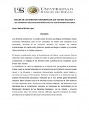 Análisis de los derechos fundamentales que han sido violados y las diferentes instancias internacionales que podemos recurrir