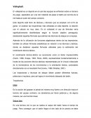 El volleyball y el cálculo