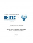 Sistema de clasificación y valuación aduanera