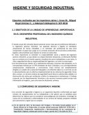 HIGIENE Y SEGURIDAD INDUSTRIAL