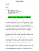 ANÁLISIS DE “MUNDO FRÁGIL”