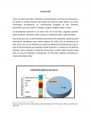 Analisis de los lipidos