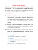 Organos genitales. Aparatos genitales