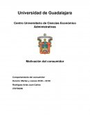 Motivación del consumidor Comportamiento del consumidor
