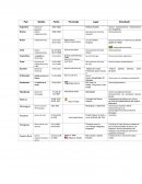 Paises latinoamericanos