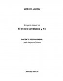 Proyecto trasversal El medio ambiente y Yo
