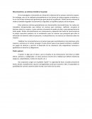 Micromachimos: La violencia invisible en la pareja