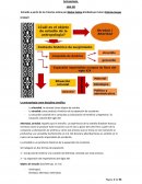 Antropología Resumen de tutorías 1er parcial UBA XXI