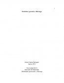 Ensayo Habilidades gerenciales y liderazgo