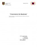 Cultivo de bacterias: Comparación entre un celular y un libro de clases