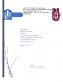 LABORATORIO DE ELECTROQUÍMICA Y CORROSIÓN