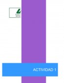 ORGANIZACION. DESDE LA PERSPECTIVA EMPRESARIAL
