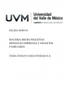 ENSAYO CREATIVIDAD S.A