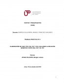 TRABAJO PRÁCTICO Nº 2: ELABORACIÓN DE: EGP, FFN, FCE, FCF Y FCA. HALLANDO LA RELACIÓN BENEFICIO COSTO DEL FCE Y EL FCF