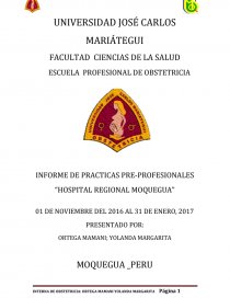 INFORME DE PRACTICAS PRE-PROFESIONALES “HOSPITAL REGIONAL MOQUEGUA”. Página 1
