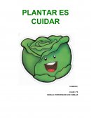 PLANTAR ES CUIDAR