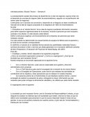 Actividad práctica: Estudio Técnico – Semana 6