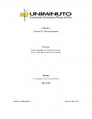 Electiva CPC Práctica profesional