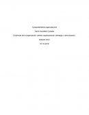 Dinámicas de la organización: cambio organizacional, liderazgo y comunicación