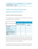 TEORÍAS SOBRE EL APRENDIZAJE MOTOR