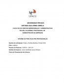 Informe Empresa: Pollos y Parrillas Medileny Chicken EIRL