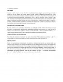 El cerebro humano