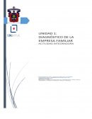 Análisis de la empresa familiar